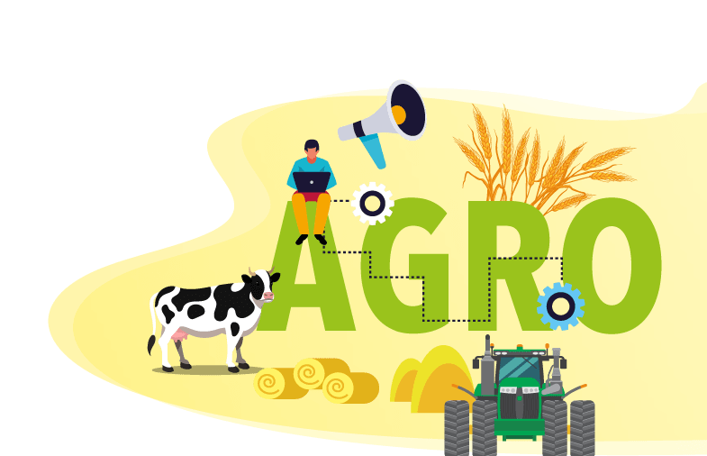 Imagen derecha arriba