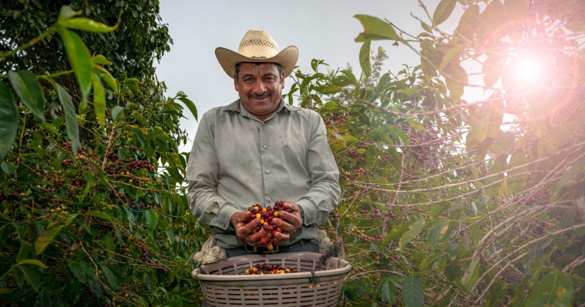 Imagen derecha abajo